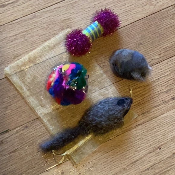 Goody bag ⭐️ for your pet for the holidays - Picture 2 of 2